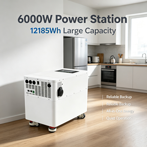 Direct Sale LiFePO4 Solar Charging with BMS 6KW 12KWH Inverter Battery System Grid Tie WiFi Monitor Home Energy Storage ESS